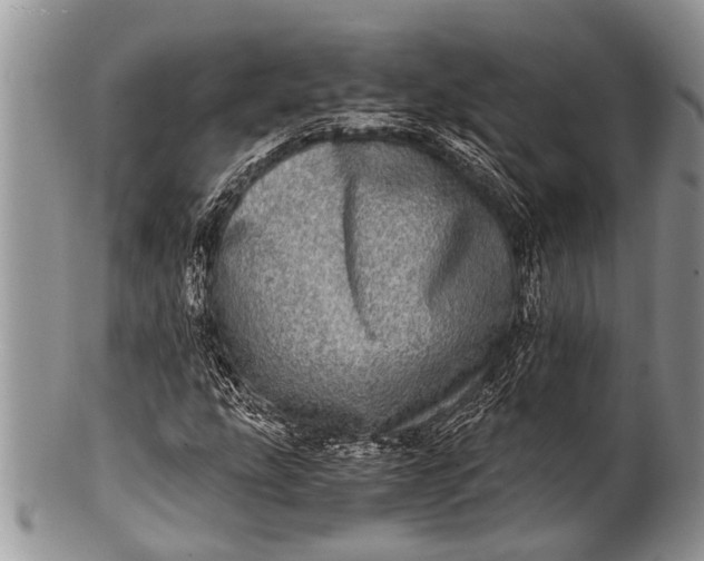 X0000100401207200806201728