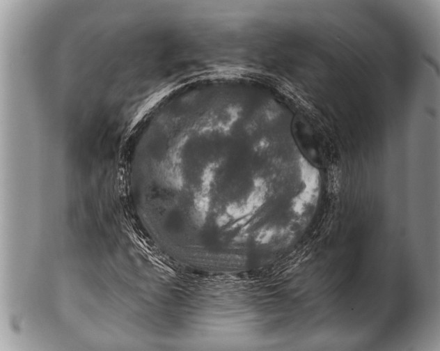 X0000100401208200806201728