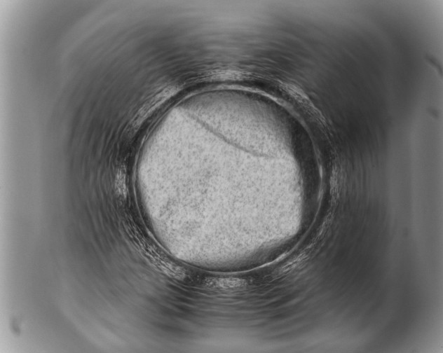 X0000100401209200806201728