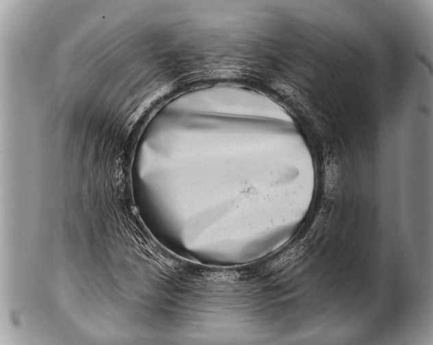 X0000100401210200806201728