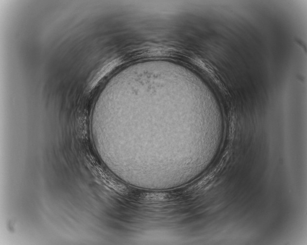 X0000100401211200806201728