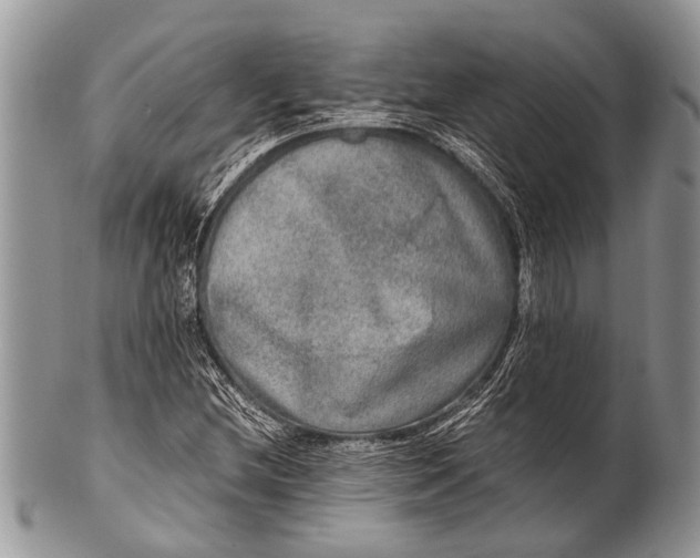 X0000100401212200806201728