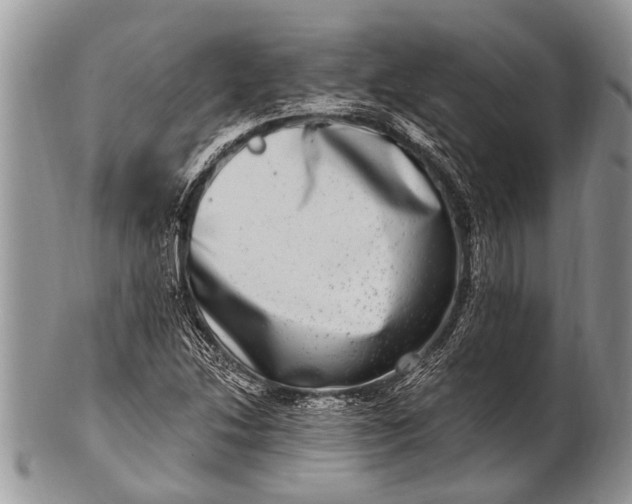 X0000100401214200806201729