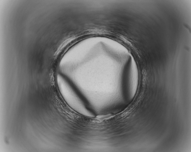 X0000100401215200806201729
