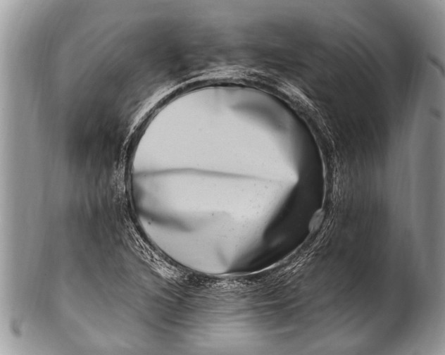 X0000100401216200806201729