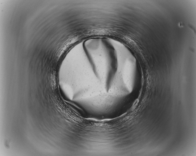 X0000100401218200806201729