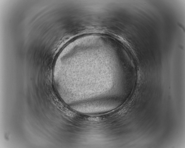 X0000100401220200806201729