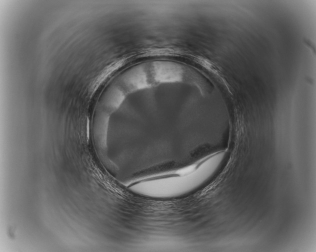 X0000100401221200806201729