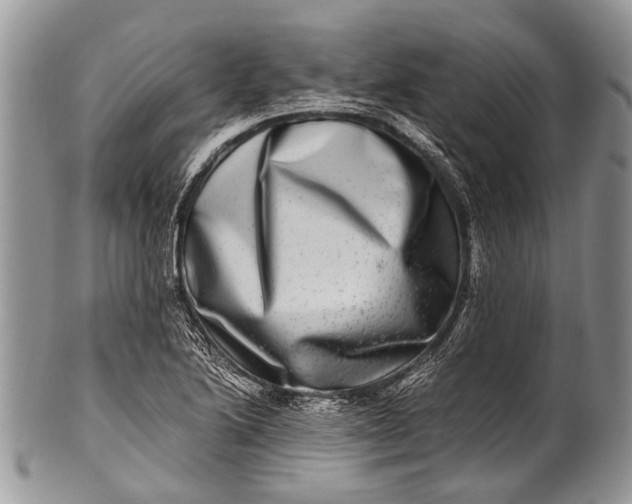 X0000100401222200806201729