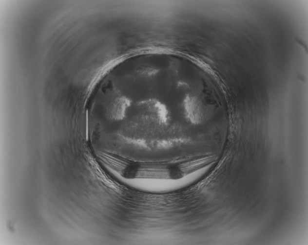X0000100401223200806201729