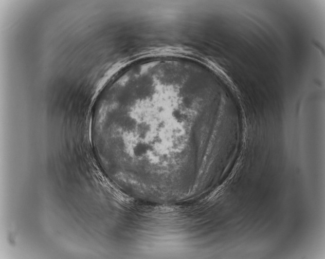 X0000100401224200806201729