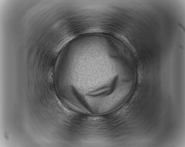 X0000100401225200806201729