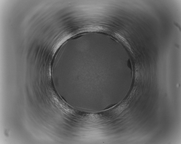 X0000100401226200806201729