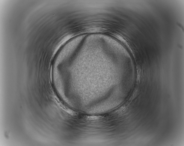 X0000100401227200806201729