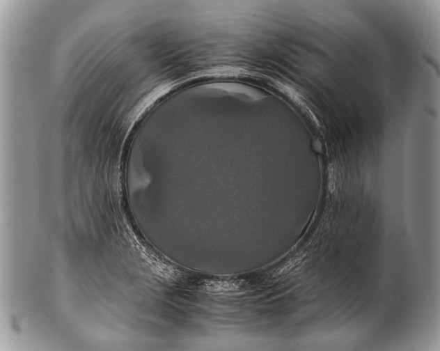 X0000100401229200806201729