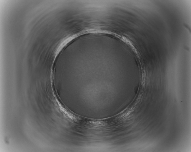 X0000100401231200806201729