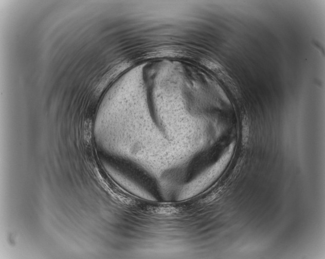 X0000100401233200806201729
