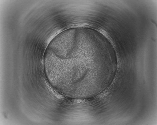 X0000100401234200806201729