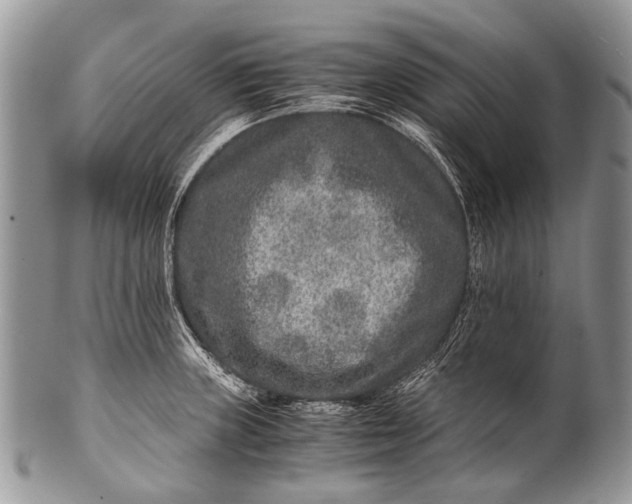 X0000100401235200806201729