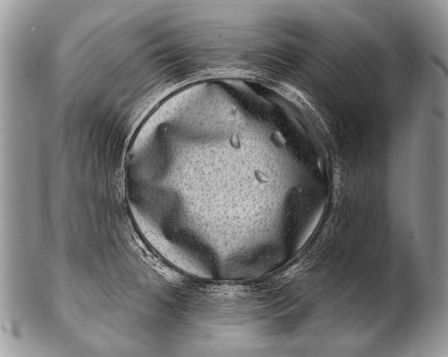 X0000100401236200806201729