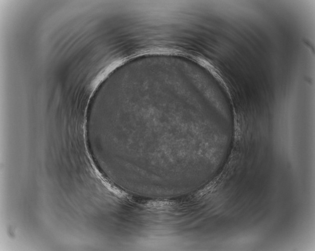 X0000100401237200806201729