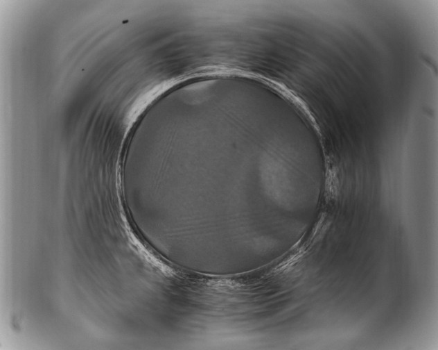 X0000100401239200806201729