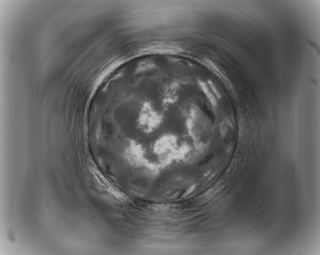 X0000100401240200806201729