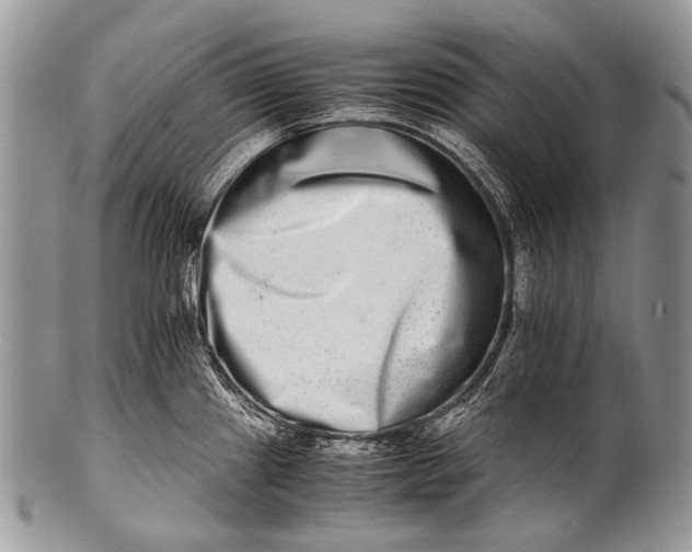 X0000100401241200806201729