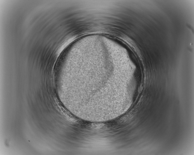 X0000100401242200806201729
