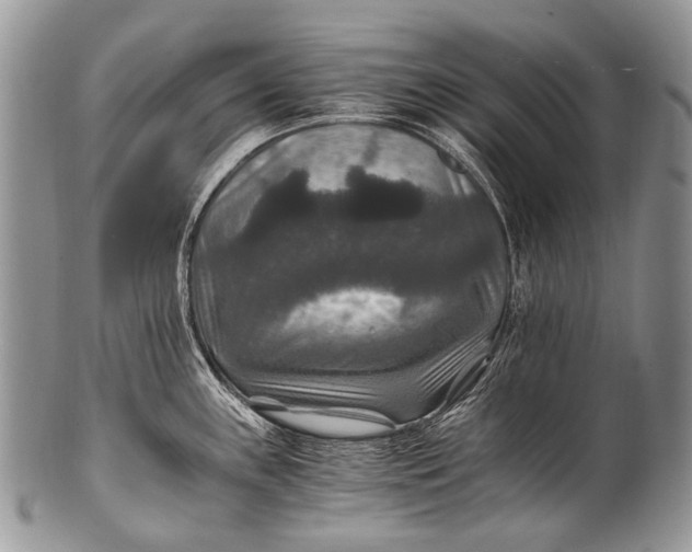 X0000100401243200806201729