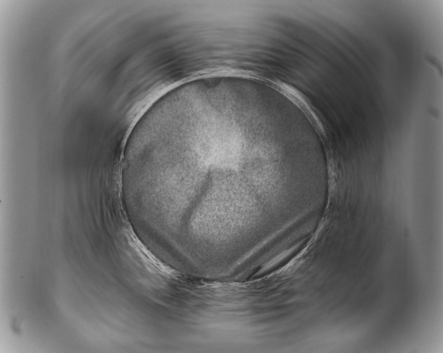 X0000100401244200806201729
