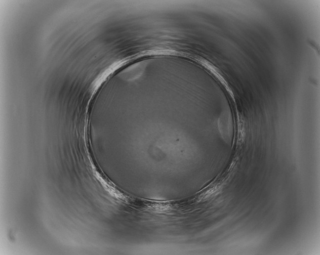 X0000100401245200806201729