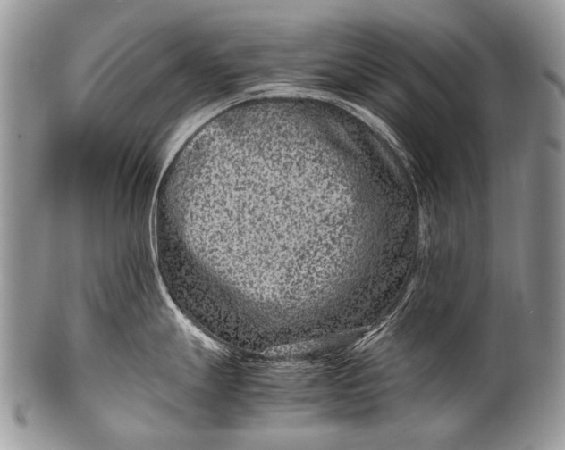 X0000100401247200806201729