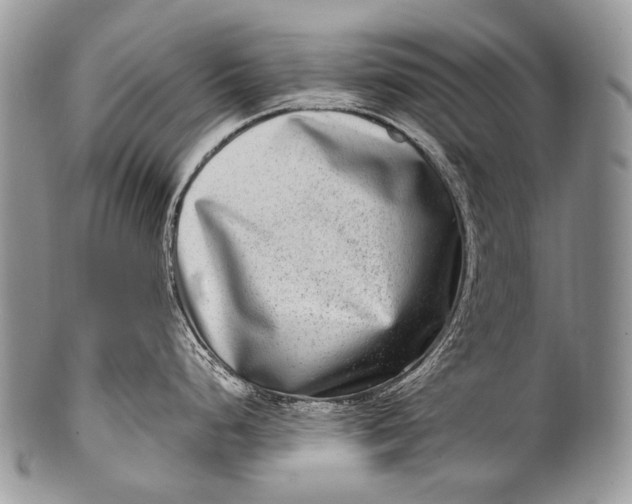 X0000100401248200806201729