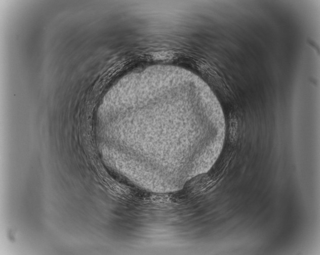 X0000100401249200806201728
