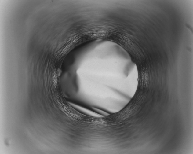 X0000100401250200806201728