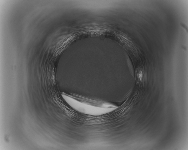 X0000100401252200806201728