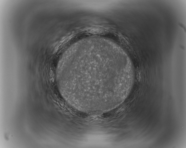 X0000100401253200806201728