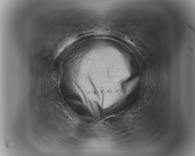 X0000100401255200806201728