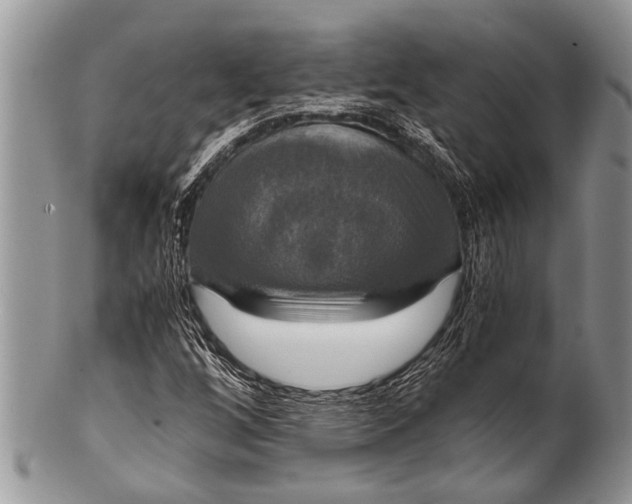 X0000100401256200806201728