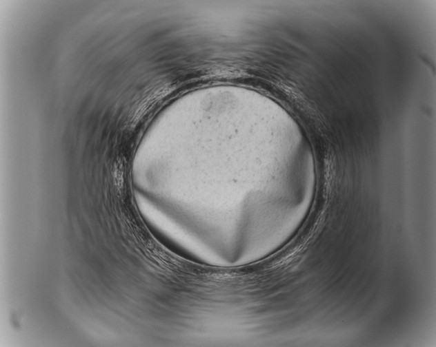 X0000100401257200806201728