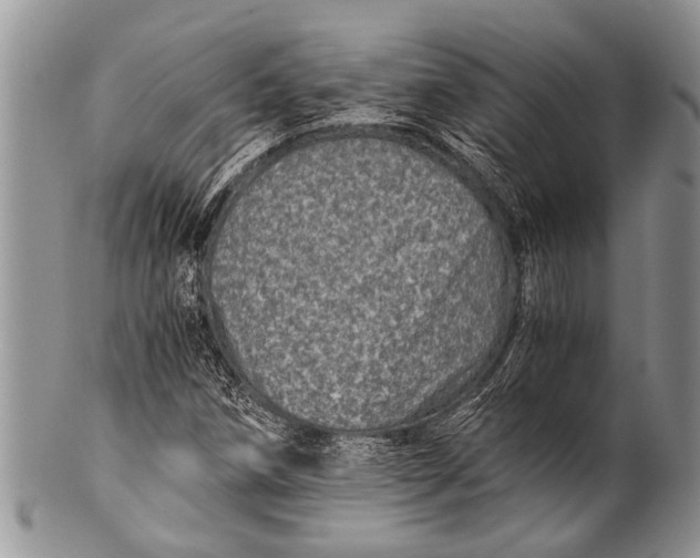X0000100401258200806201728