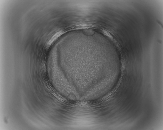 X0000100401259200806201728