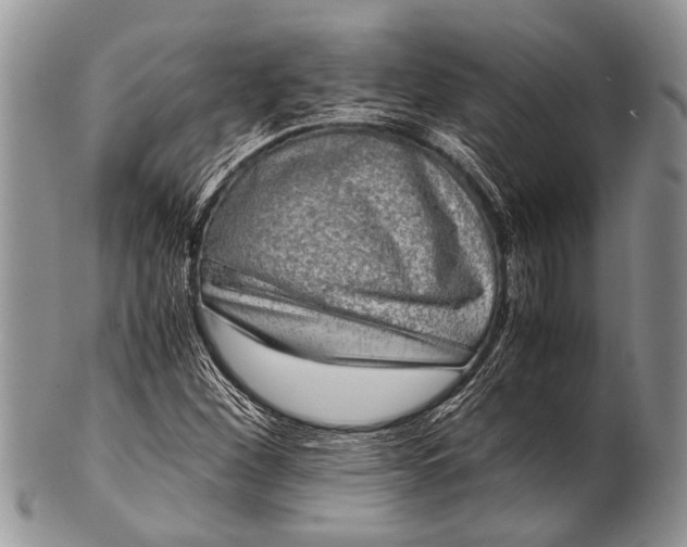 X0000100401260200806201728