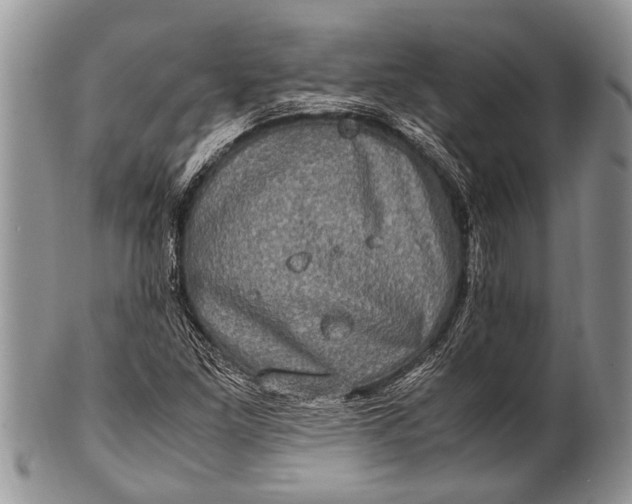 X0000100401261200806201728