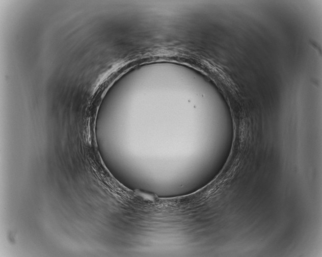 X0000100401262200806201728