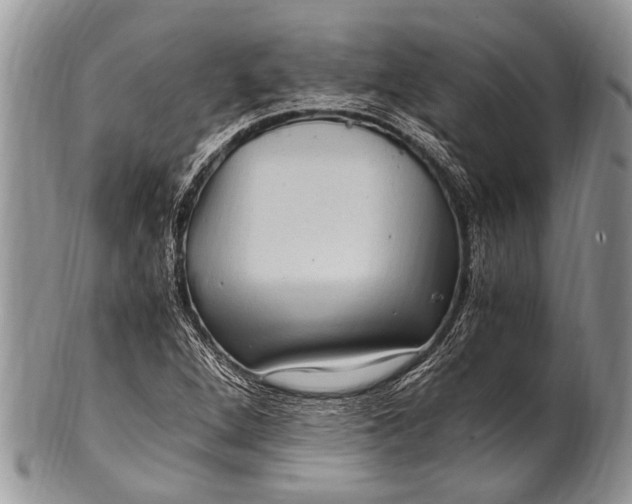 X0000100401264200806201728