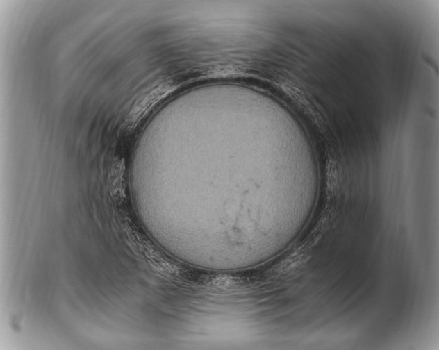 X0000100401265200806201728