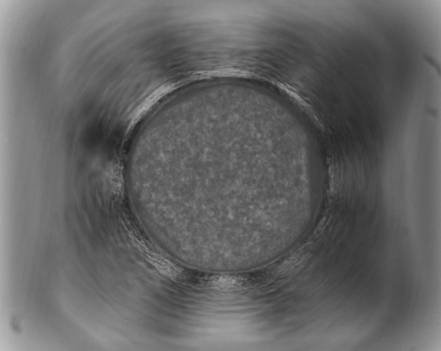 X0000100401266200806201728
