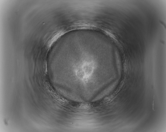 X0000100401267200806201728